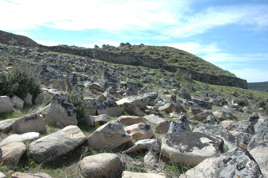 Cogotas